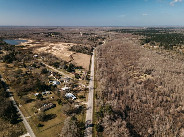 Comment cultiver des plantes succulentes lithops de l'Afrique australe en utilisant des substrats spécifiques ?